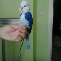 Muhabbet Kuşu Amigurumi